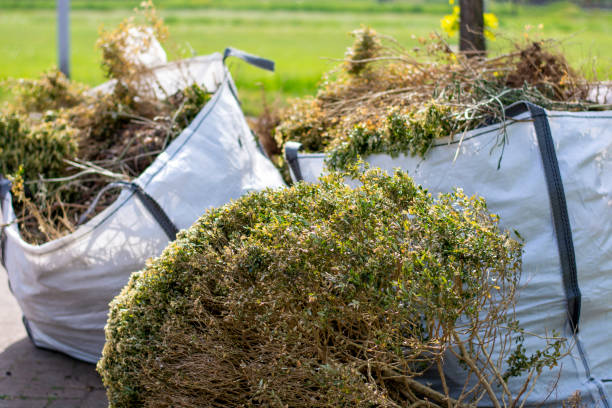 Best Electronics Removal Services  in Roscoe, IL